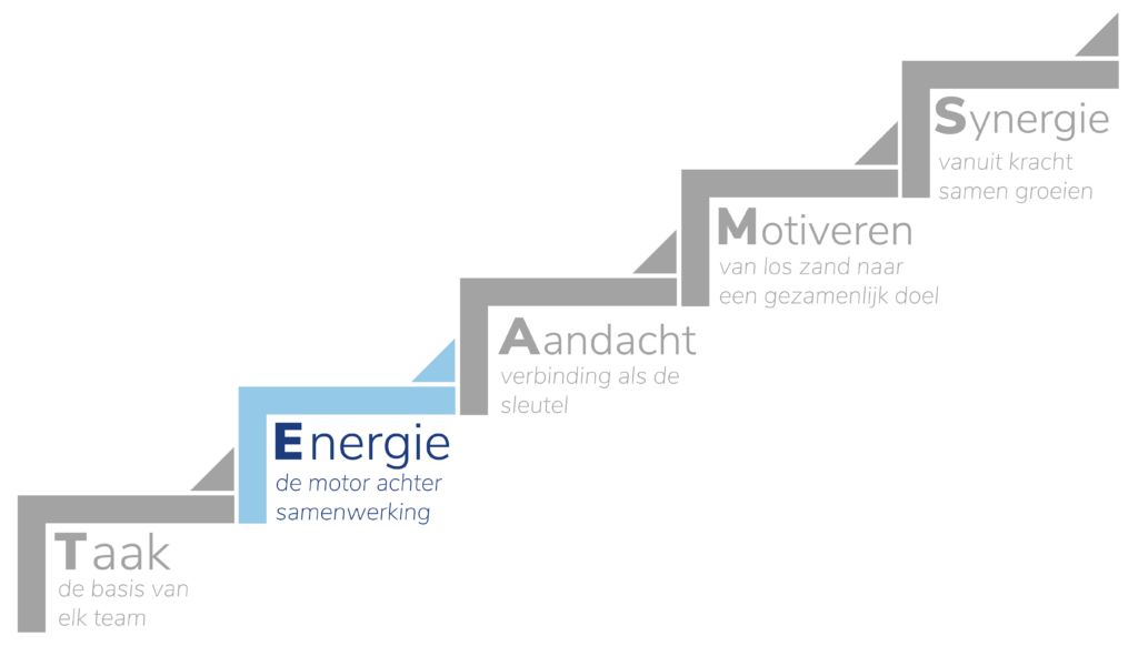 TEAMS Framework teamcoaching – stappen naar samenwerking. Energie.