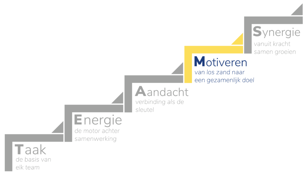 TEAMS Framework teamcoaching – stappen naar samenwerking. Motiveren.