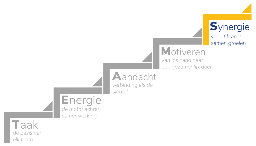 TEAMS Framework teamcoaching – stappen naar samenwerking. Synergie.