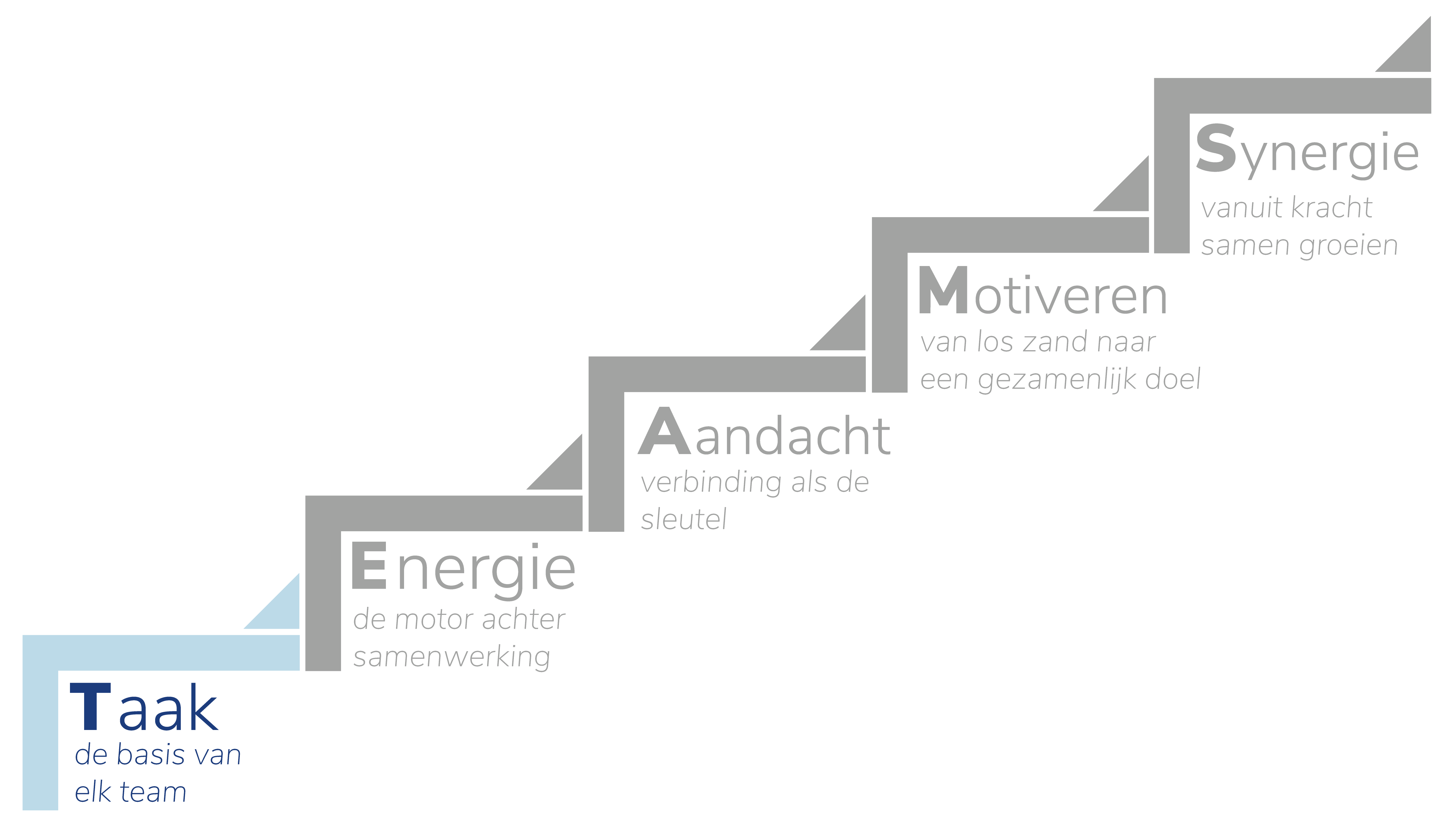 TEAMS Framework teamcoaching – stappen naar samenwerking. Taak.